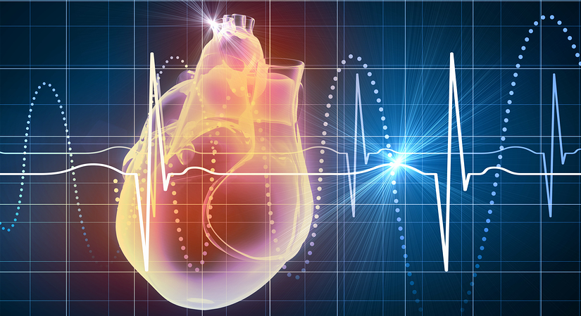 HEART RATE TRAINING